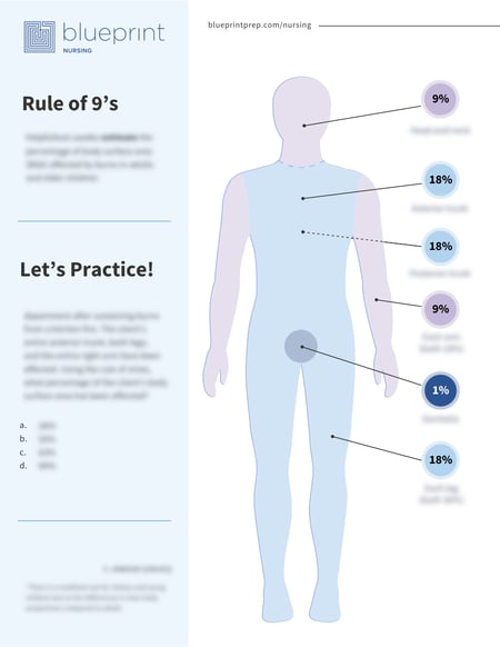 Rule of 9s Tip Sheet Preview