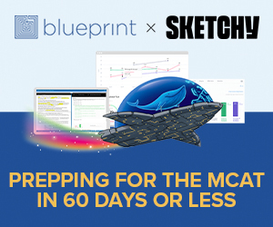 bp-sketchy-webinar bp-sketchy-webinar
