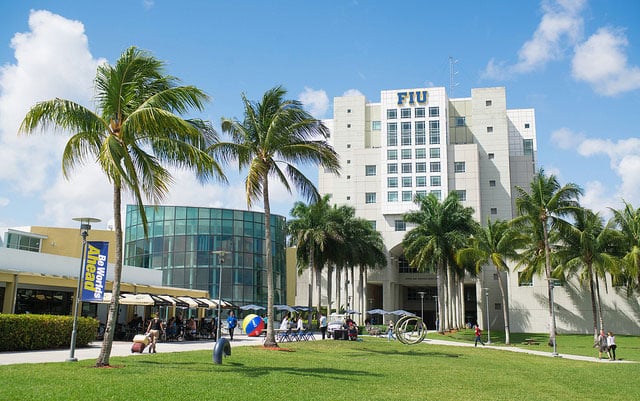 fiu fiu