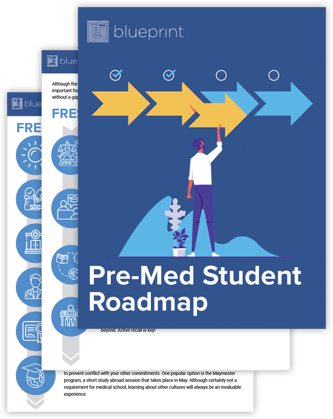 roadmap mockup