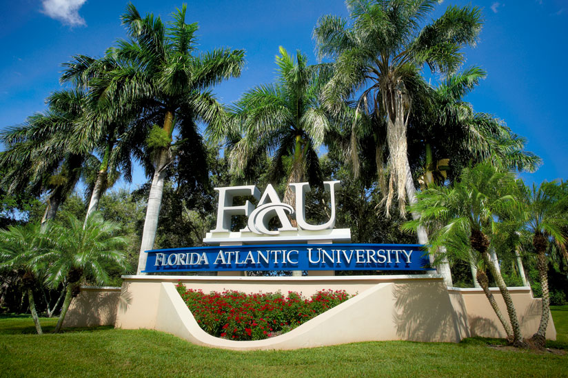 fau fau